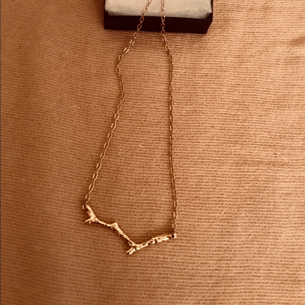 Ann Taylor gold toned branch necklace